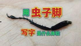 预感讯号,预见未来的神秘信号