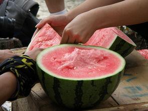 51朝阳吃瓜,揭秘娱乐圈最新吃瓜事件，带你领略明星幕后故事