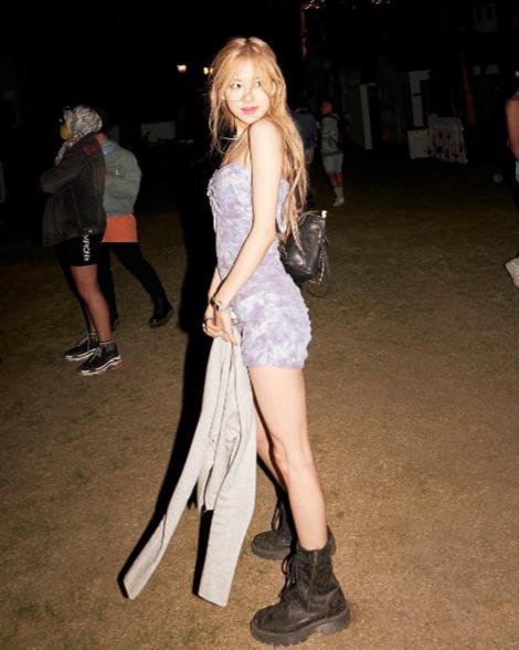 情色小野猫,激情四溢的都市诱惑