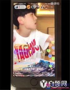 网红黑料爆料网,网络舆论背后的真相与反思